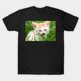 Adorable kitty in grass T-Shirt